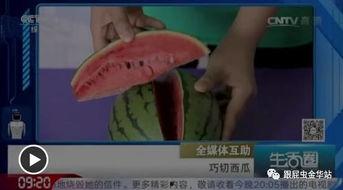 吃瓜不带籽拉肚子吗视频,吃瓜不带籽引发拉肚子？揭秘瓜果食用小常识