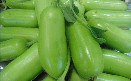 蒲瓜怎么吃最有毒性呢视频,揭秘最毒食用方法