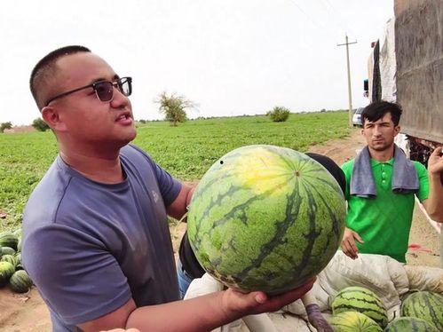 乌鲁木齐最新吃瓜视频,揭秘街头美食风云