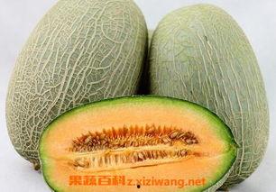 小徐一家吃哈密瓜视频大全