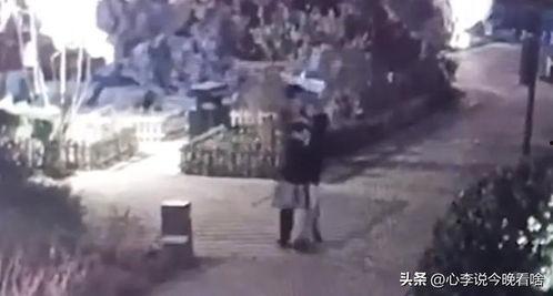 淮北吃瓜事件真相视频全集,揭秘真相背后的惊人内幕