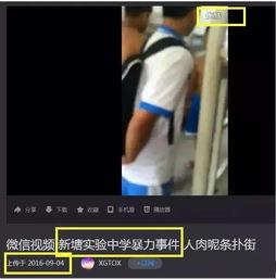 滑县吃瓜事件真相视频播放,真相视频曝光背后的真相