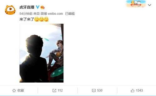 虎牙吃瓜全过程视频播放,一场视觉盛宴的精彩回顾