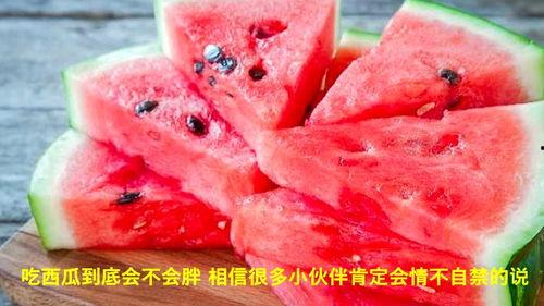 吃不吃瓜视频大全,揭秘娱乐圈幕后故事