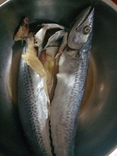 石神吃八瓜鱼视频大全,趣味视频大盘点