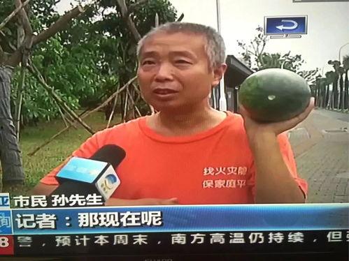 潍坊吃瓜事件新闻视频